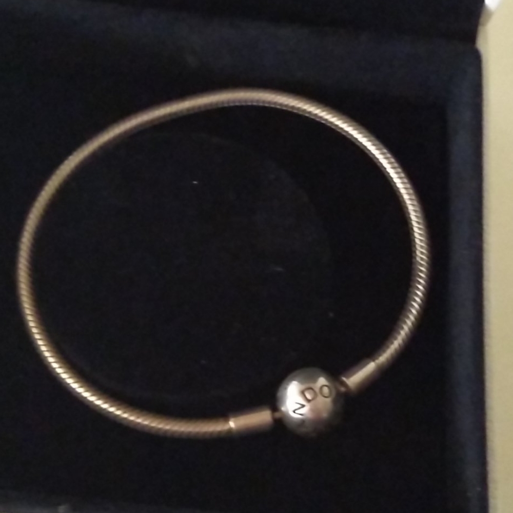 Pandora Charm Starter Bracelet